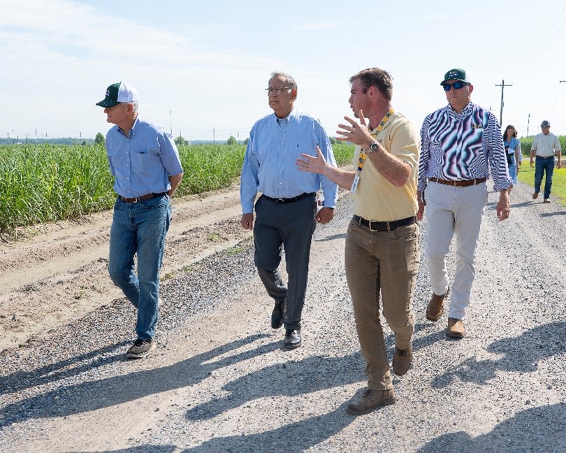 Men walking along the road next to a sugarcane field.